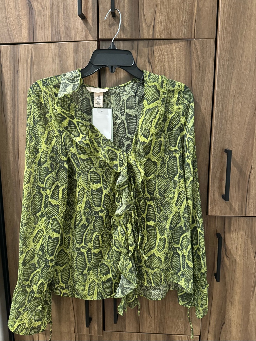 H&M Green Snake-Print Sheer Blouse